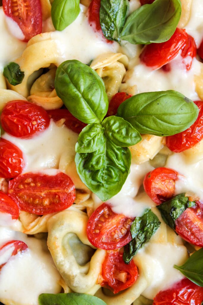 Tortellini mit Tomaten und Mozzarella überbacken