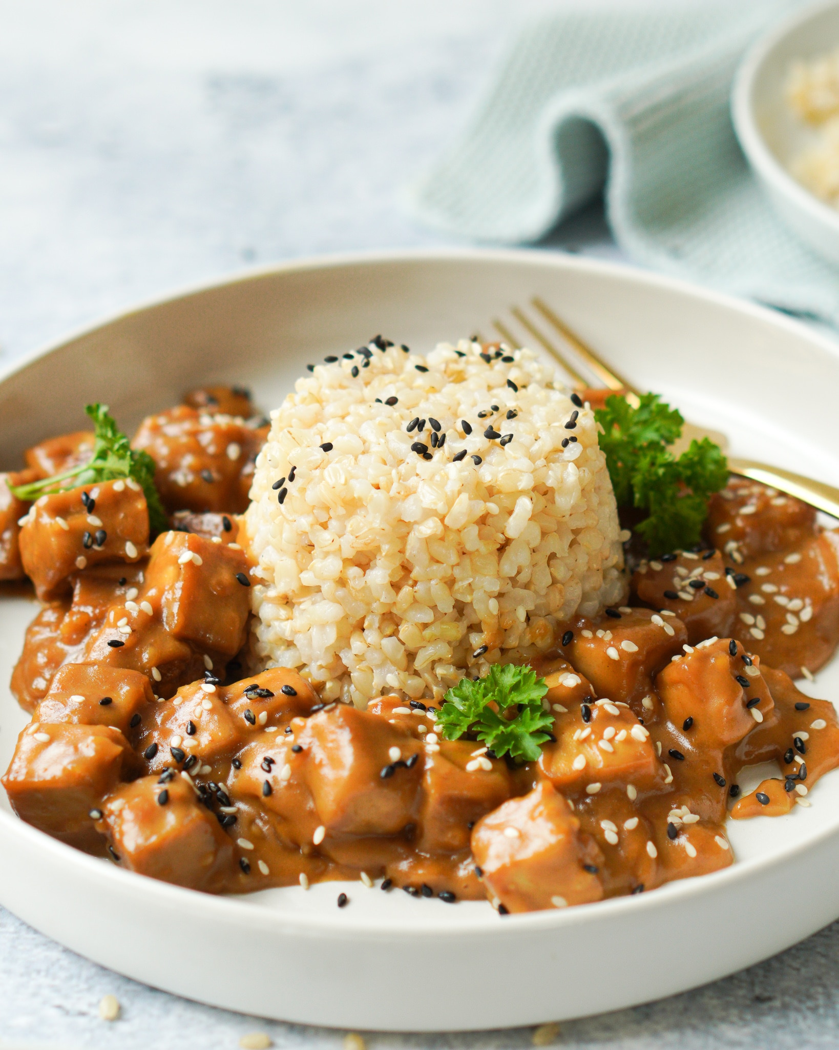 Hier kann man ein Curry aus Erdnuss und Tofu mit Reis gezeigt|Auf dem Bild wird ein Curry aus Tofu und Erdnuss mit Reis abgebildet|Zusehen ist ein Curry aus Erdnuss und Tofu mit Reis